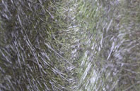 Upperthong fibreglass roof work